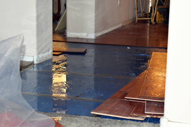 Professional Burst Pipe Cleanup technician working in Georgetown, TX